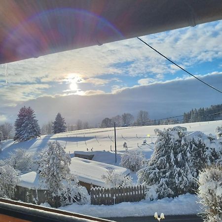 Gaestehaus Bartlehof Schluchsee Extérieur photo