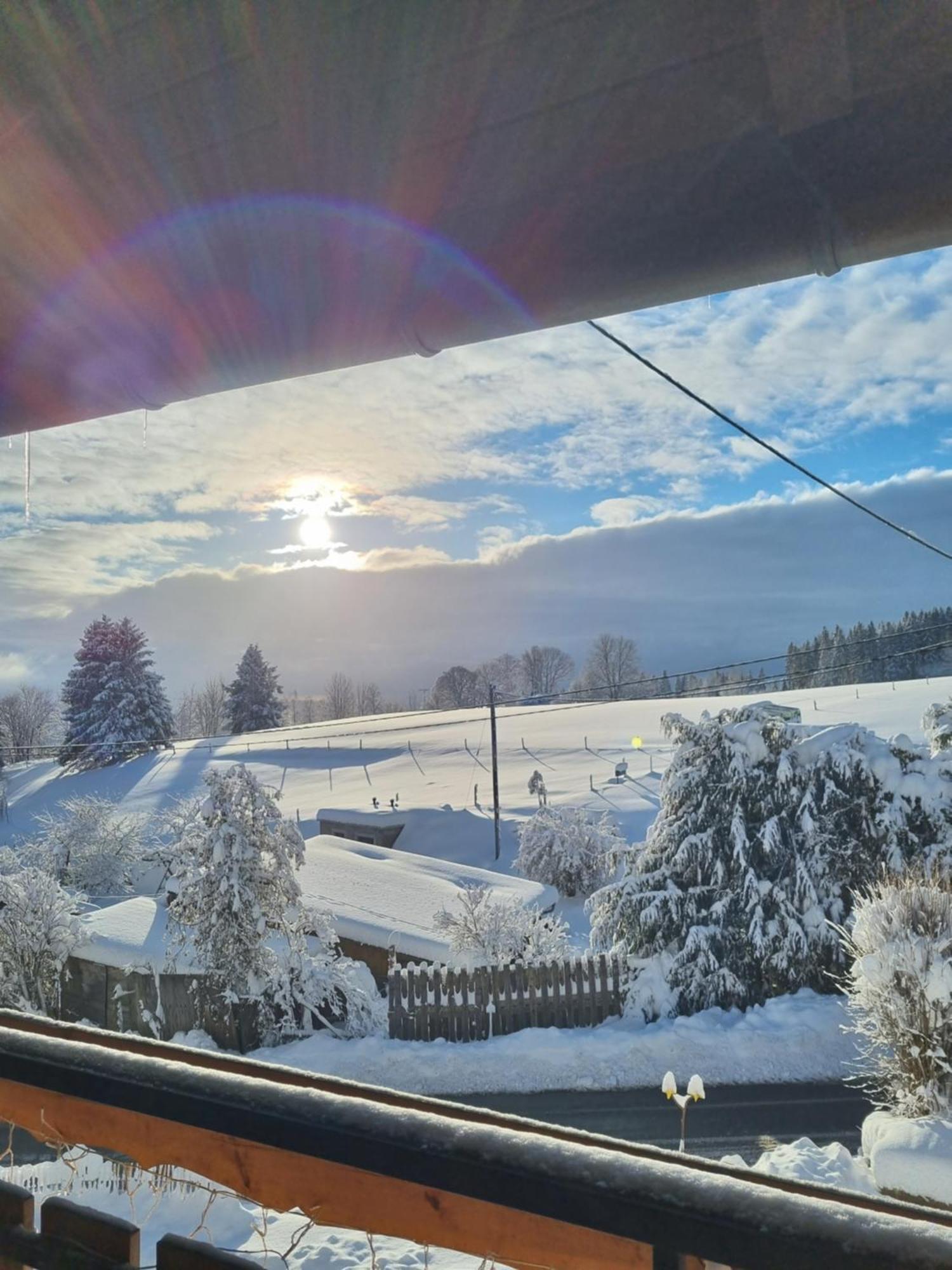 Gaestehaus Bartlehof Schluchsee Extérieur photo