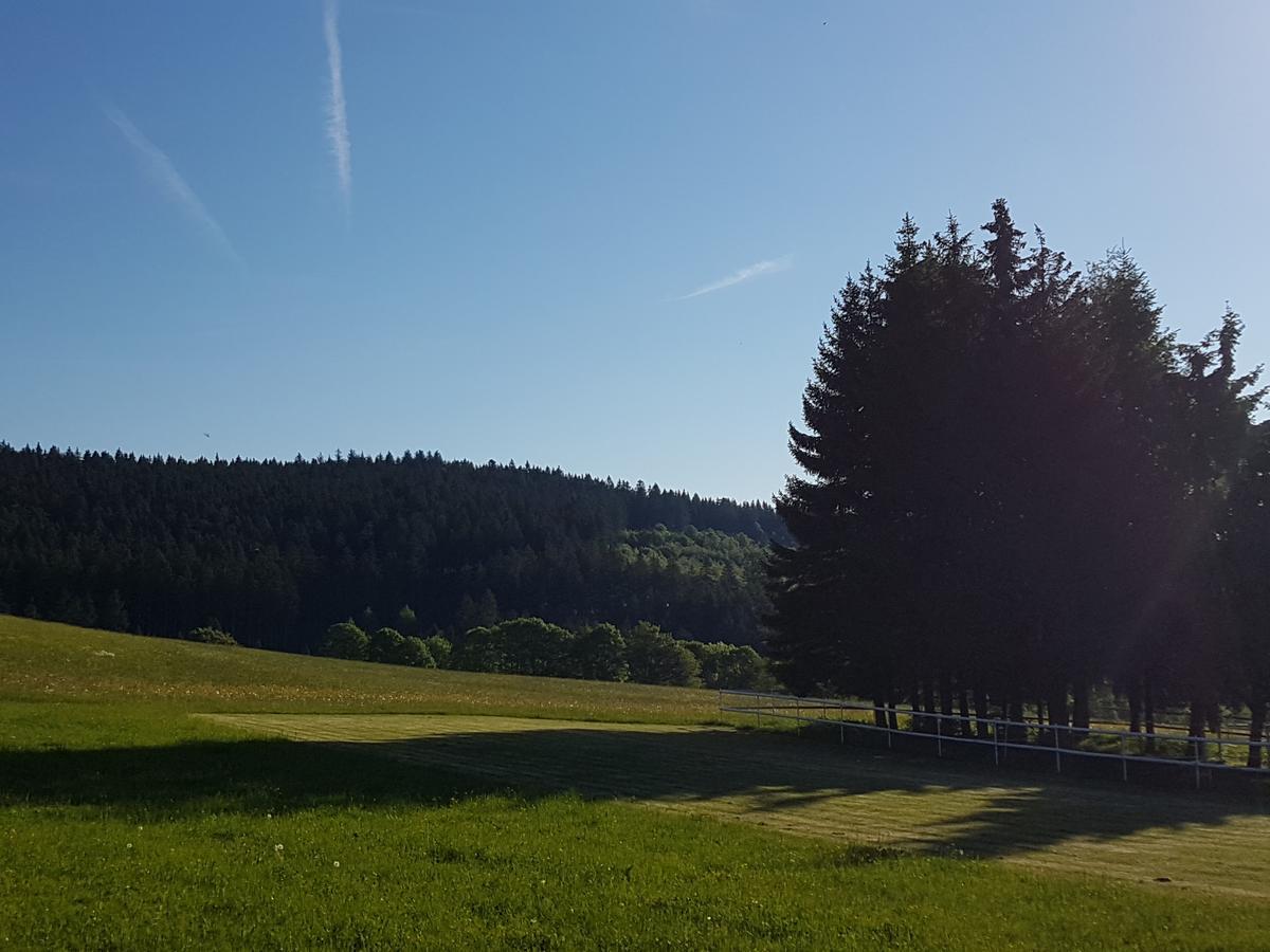 Gaestehaus Bartlehof Schluchsee Extérieur photo