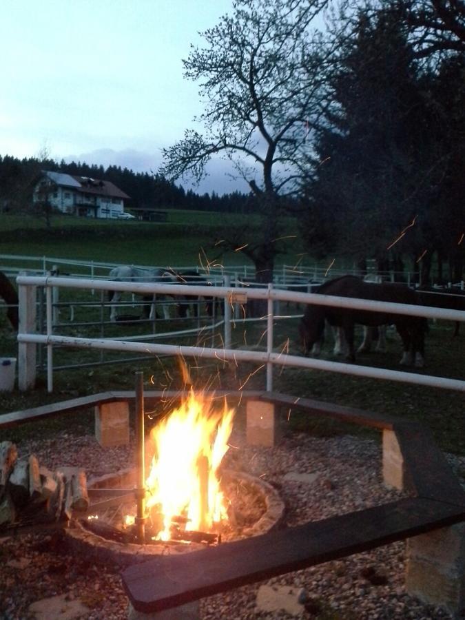 Gaestehaus Bartlehof Schluchsee Extérieur photo